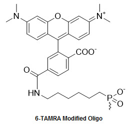 Bio-Synthesis Inc. Oligo Structure